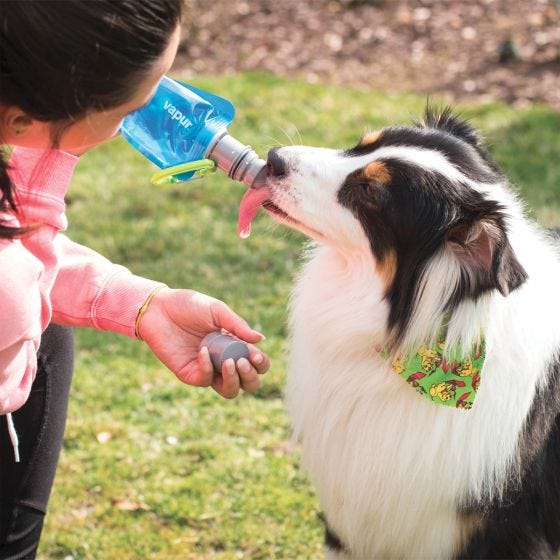 Vapur Borraccia Ez Lick Portable Dog - Whiteout