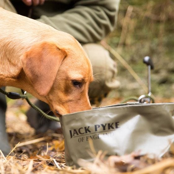 Jack Pyke ciotola per cani pieghevole in verde